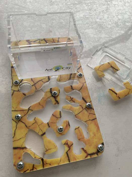 Мурашина ферма смарт сахара antcity