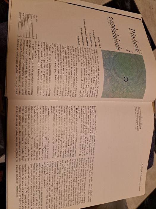 Nowe życie, ciąża poród i pierwszy rok życia dziecka