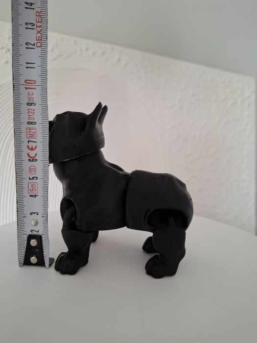 Cão de raça decorativo