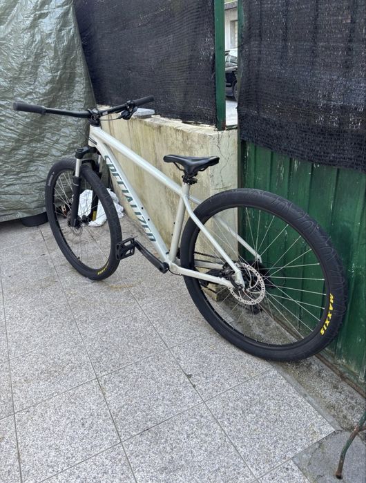 specialized rockhopper 29