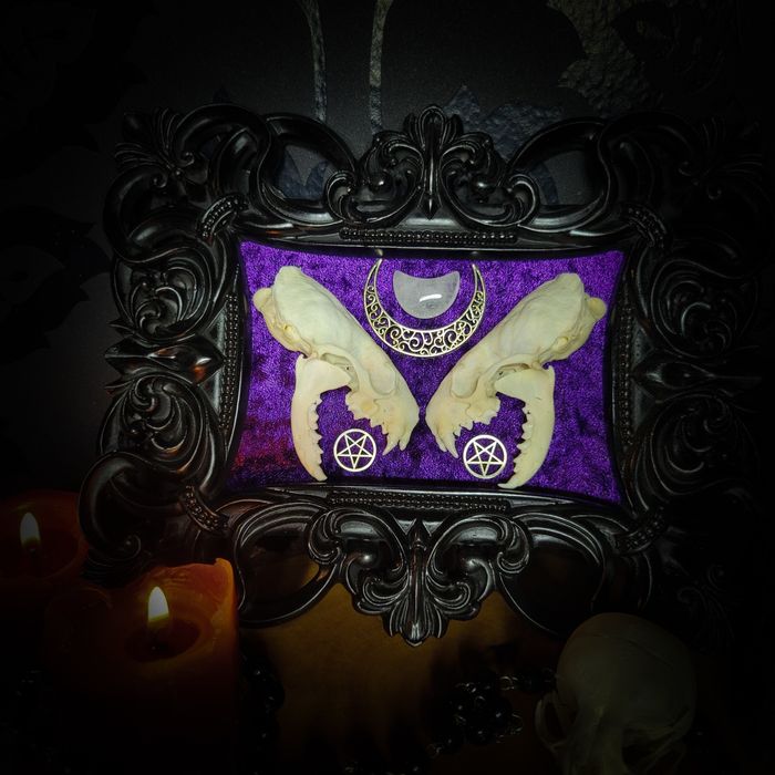 Rama gotycka czaszka norki