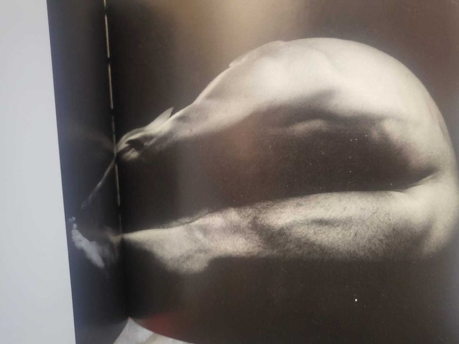 Male Nudes Indexx, Cube Collection,  Hardcover