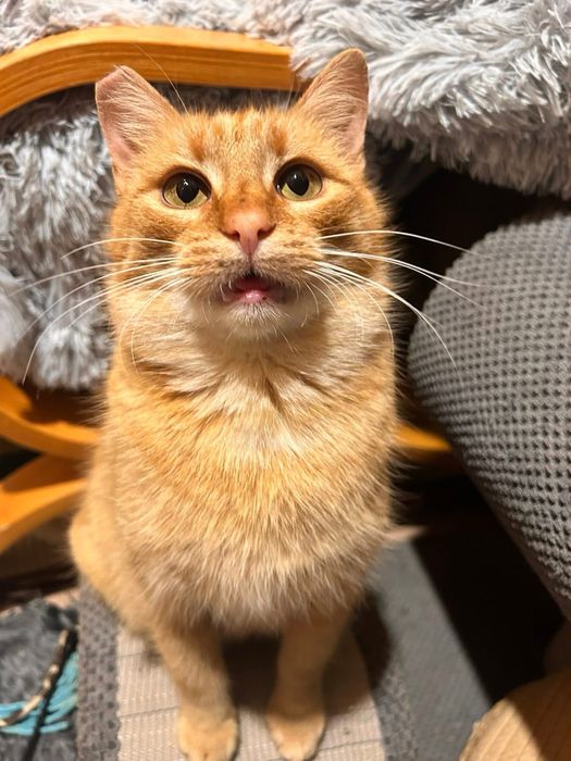 Ruda piękność marzy o swojej rodzinie!