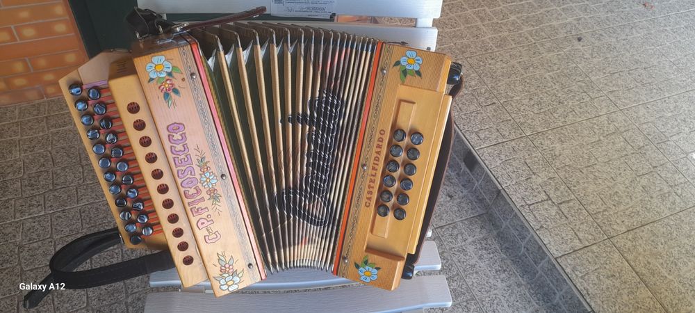 Organetto C.P. Ficosecco64174793732355122