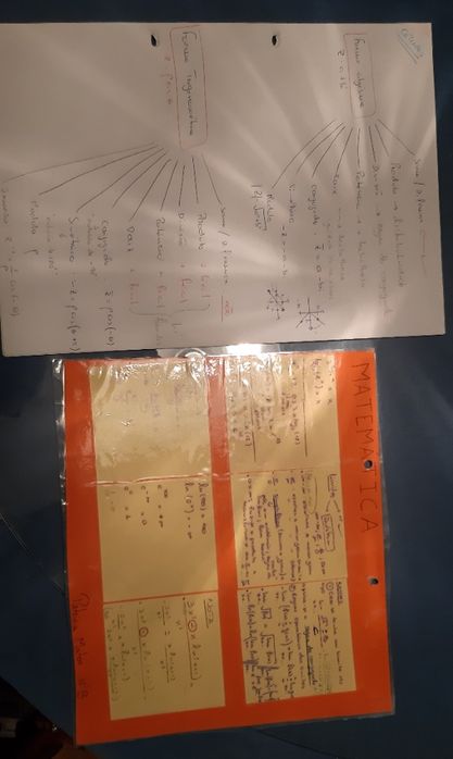 Matemática (12º ano) - livro de exames e notas de explicadora