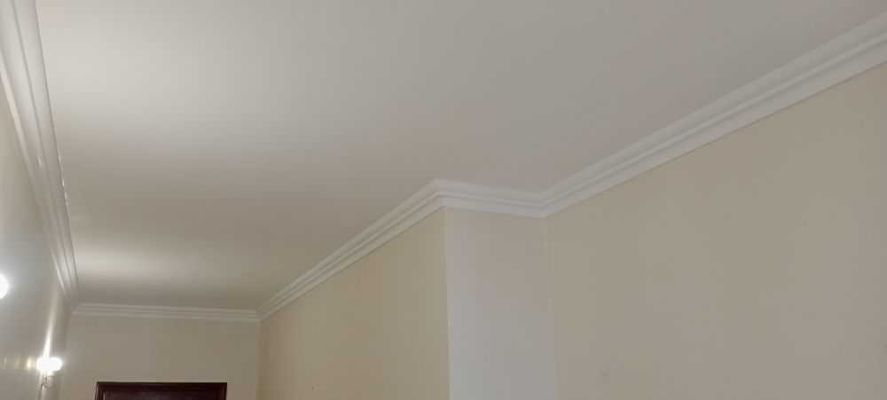 Pintura de Remodelação