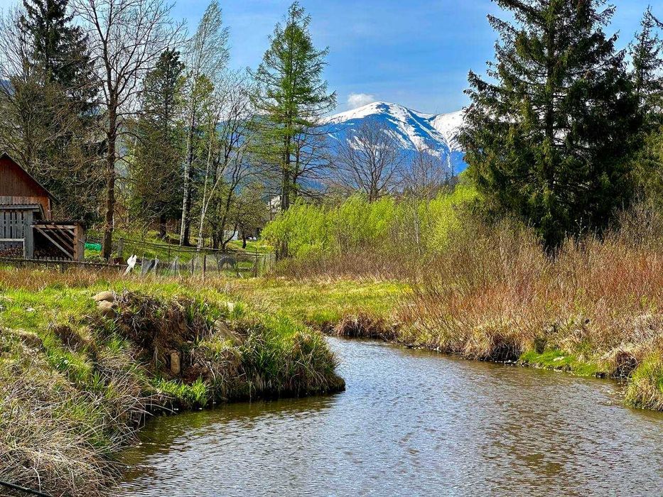 Земельна ділянка під забудову в с. Стара Гута_M