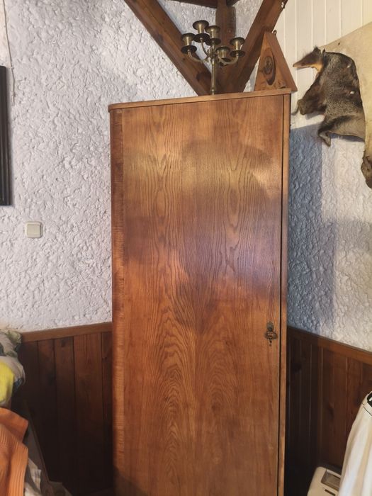 Szafa Gdańska dobre drzewo mocne