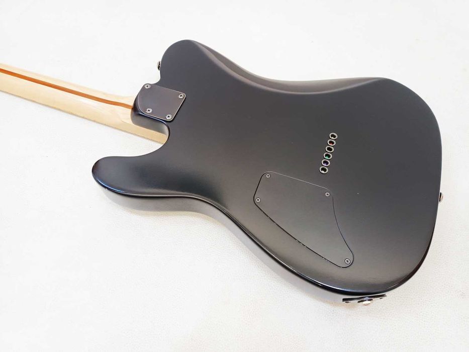 Fender Jim Root Telecaster Signature Series