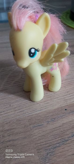 Koniki Pony/ graja i świecą