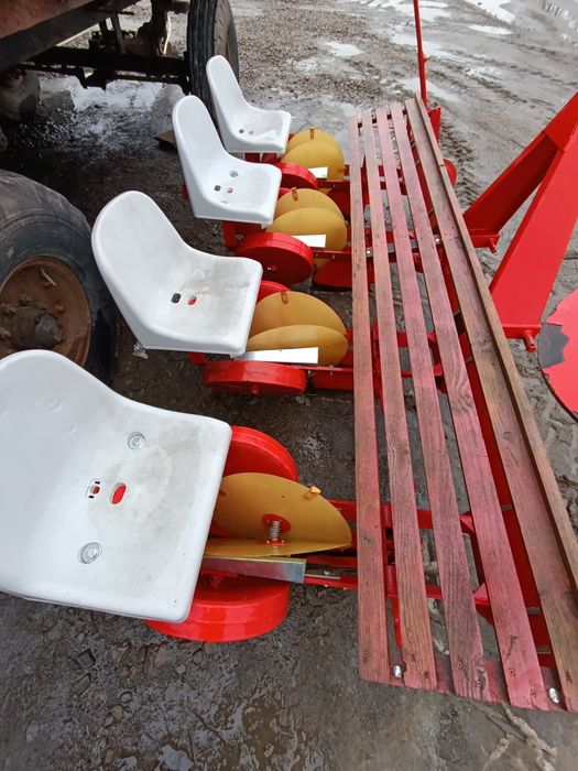 Розсадосаджалку капусти