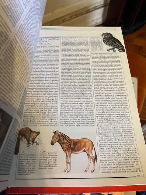 Enciclopedia Visual e temática