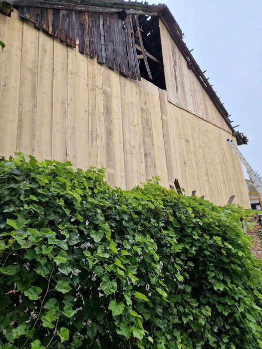 Skup starego drewna, rozbiórka budynków