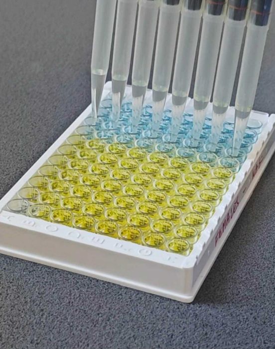 Korepetycje z biologii i chemii