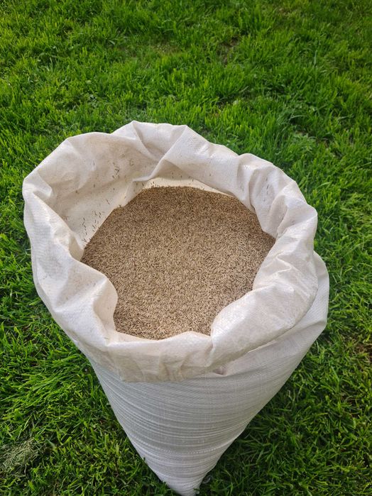 Trawa ogrodowa zagęszczająca - 10 zł