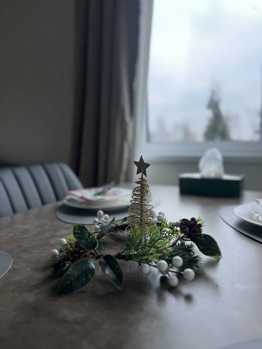 Продаж будинку Крушинка 4 сотки 65 м2 без %