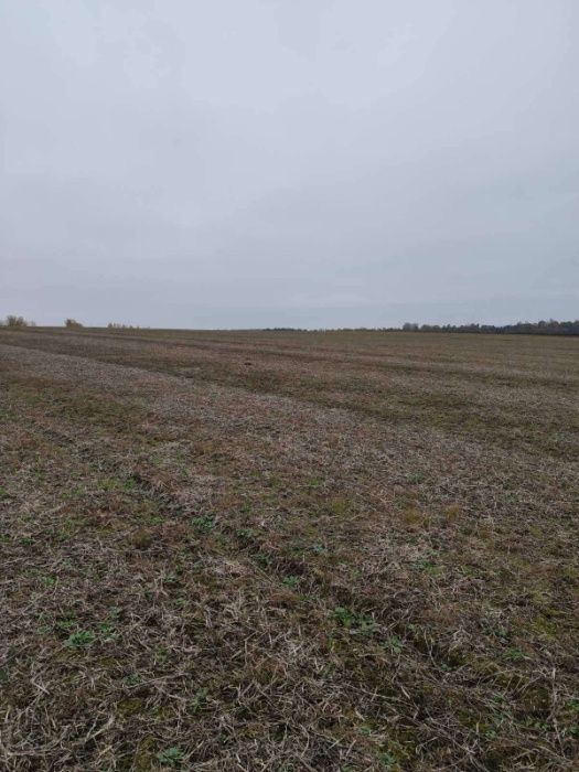 Продаж земельної ділянки, с.Глуховичі, 10 сот.,БЕЗ КОМІСІЇ ДЛЯ ПОКУПЦЯ