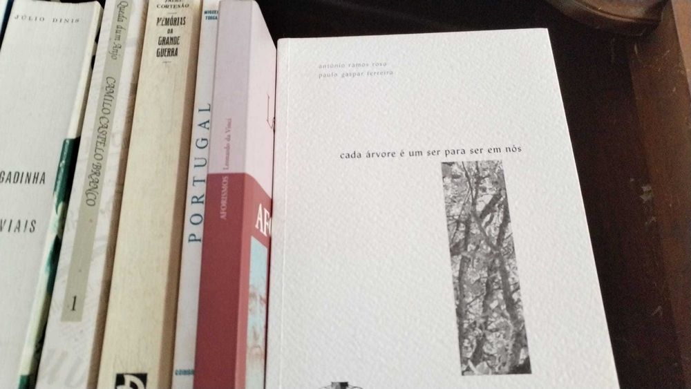 Livros a 5 euros cada