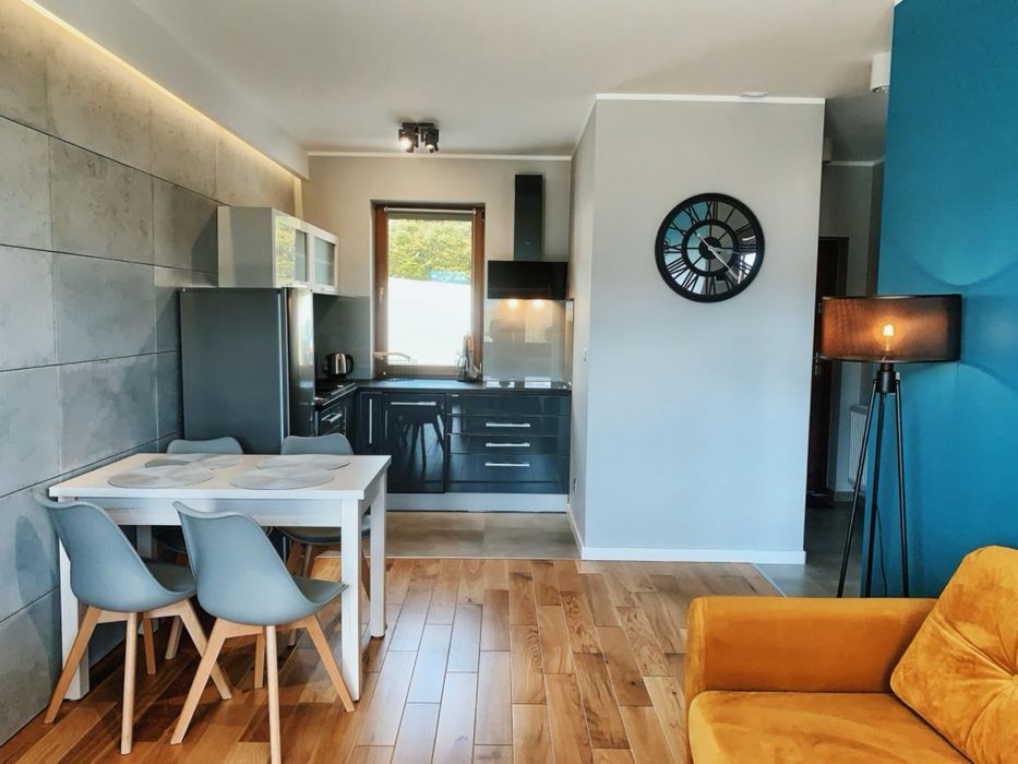 Apartament z jacuzzi oraz panoramicznym widokiem na Góry