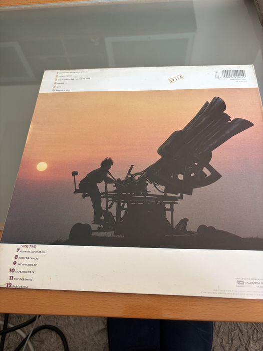 Vinil Kate Bush-