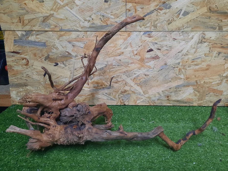 Korzeń do akwarium Red Moore Wood nr 1108 o wymiarach 46/16/30