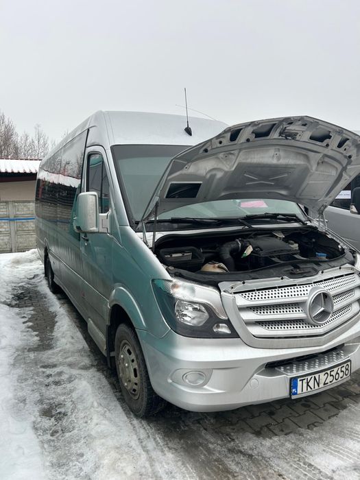 Спрінтер 519   24 міс вага 5500