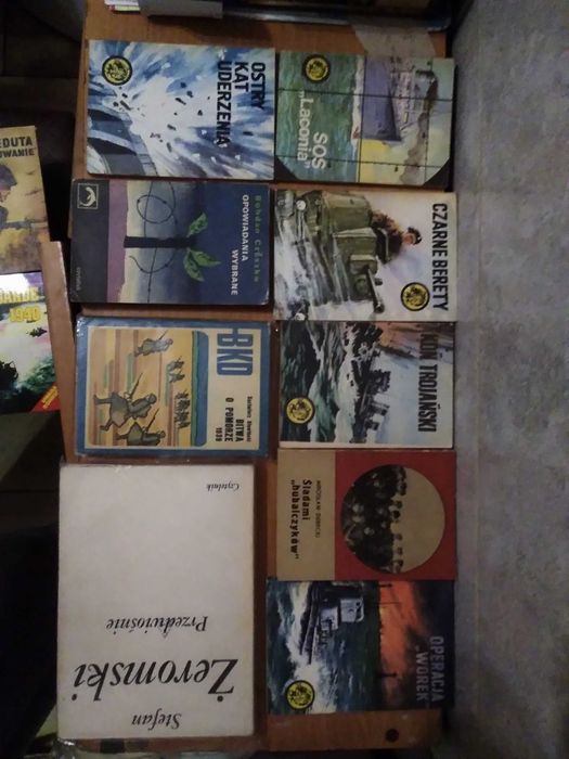 Książki z kolekcji tygrys wojenne