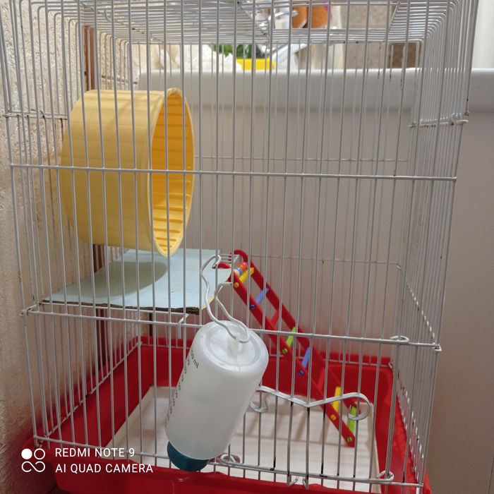 Hamster cage olx hotsell