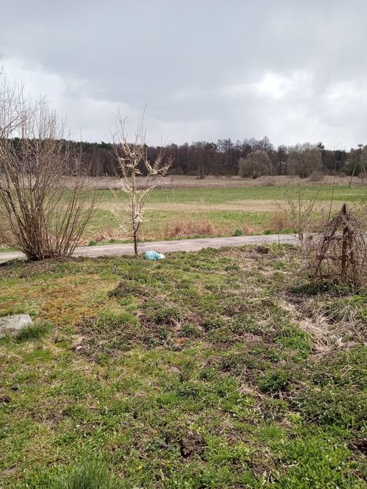 Działka budowlana(rolna) Gardzienice pierwsze - Widok 5