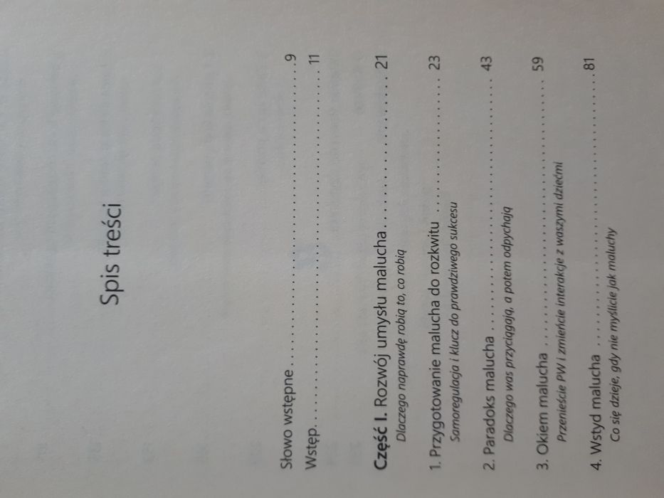 Poradnik (książka) Zrozumieć malucha