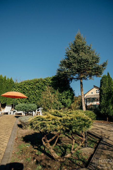 Продаж затишного будинку в с. Липники