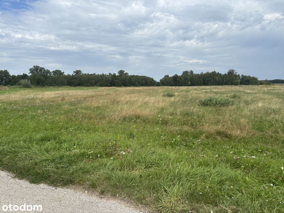 Dziesławice - duża działka budowlana o pow. 2,88 ha