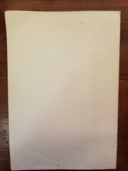 Teresa Barata Salgueiro - Mercado de habitação e estrutura urbana