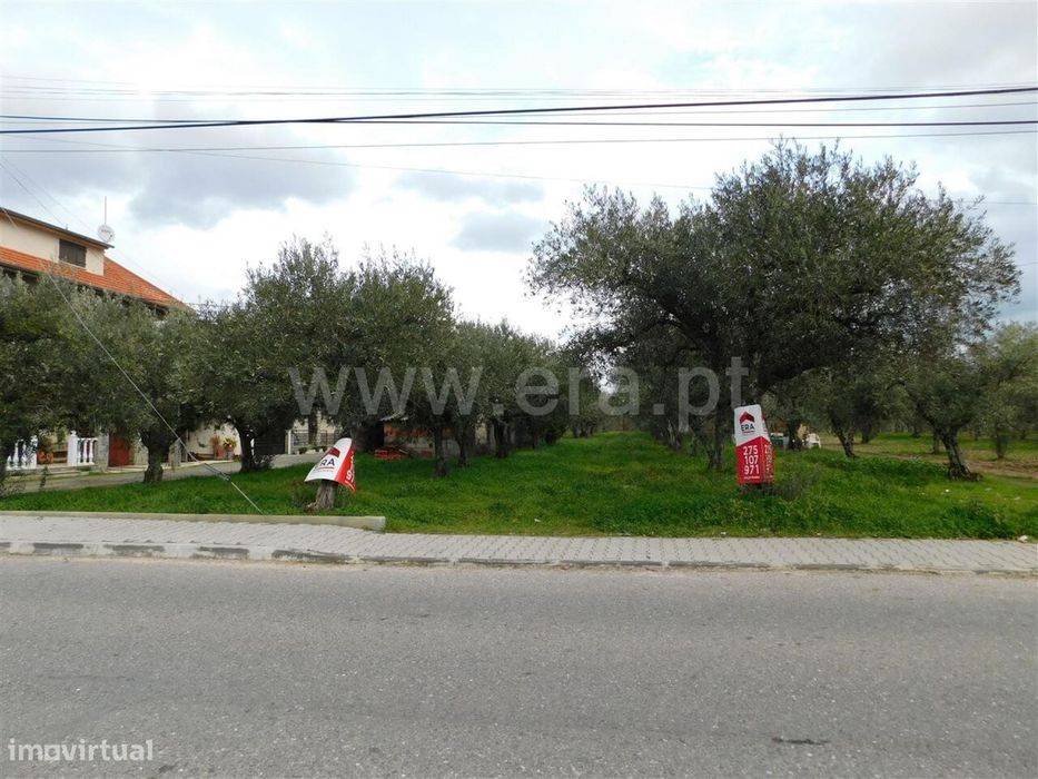 Terreno para Construção / Fundão, Carvalhal — Fundão, Valverde, Donas, Aldeia De Joanes E Aldeia Nova Do Cabo, Castelo Branco