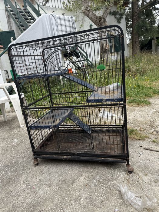 Gaiola grande de ferro com bandeja e rodas