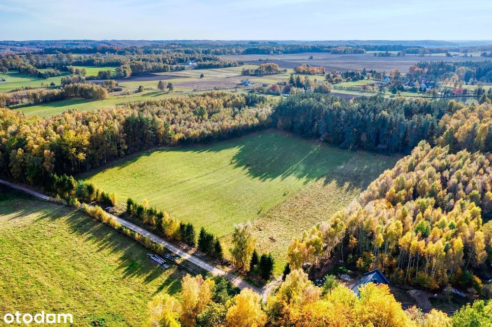 Grunt pod osiedle domków jednorodzinnych 24098 m².