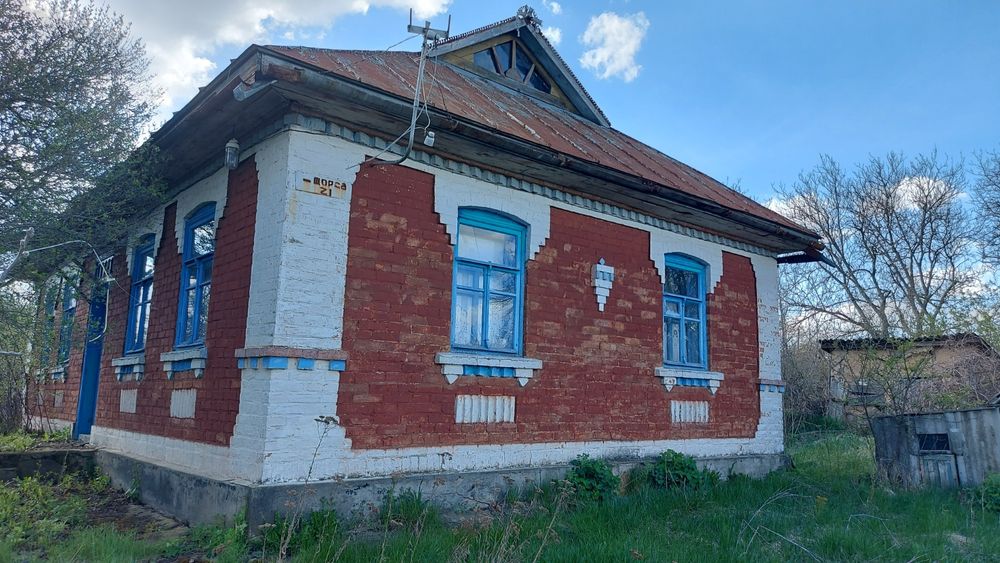 Будинок в Басаличівці