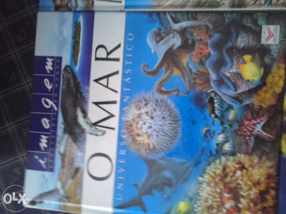 Livros Educativos