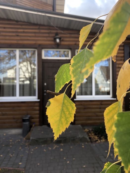 Оренда будинку подобово  камін , сауна  на дровах,  більярд Мангал