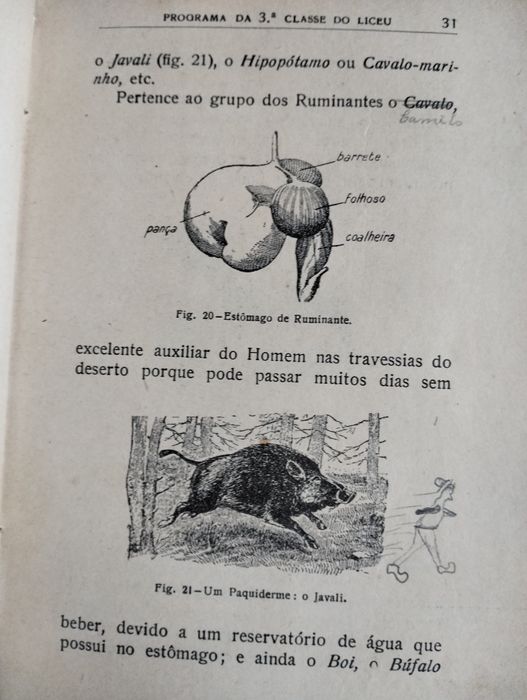 Livro Noções de Zoologia 1934