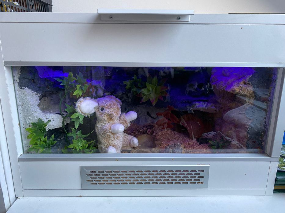 Terrarium  z wyposażeniem. 60/40/40 cm