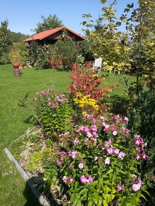 domek górski strumień w Masywie Śnieżnika