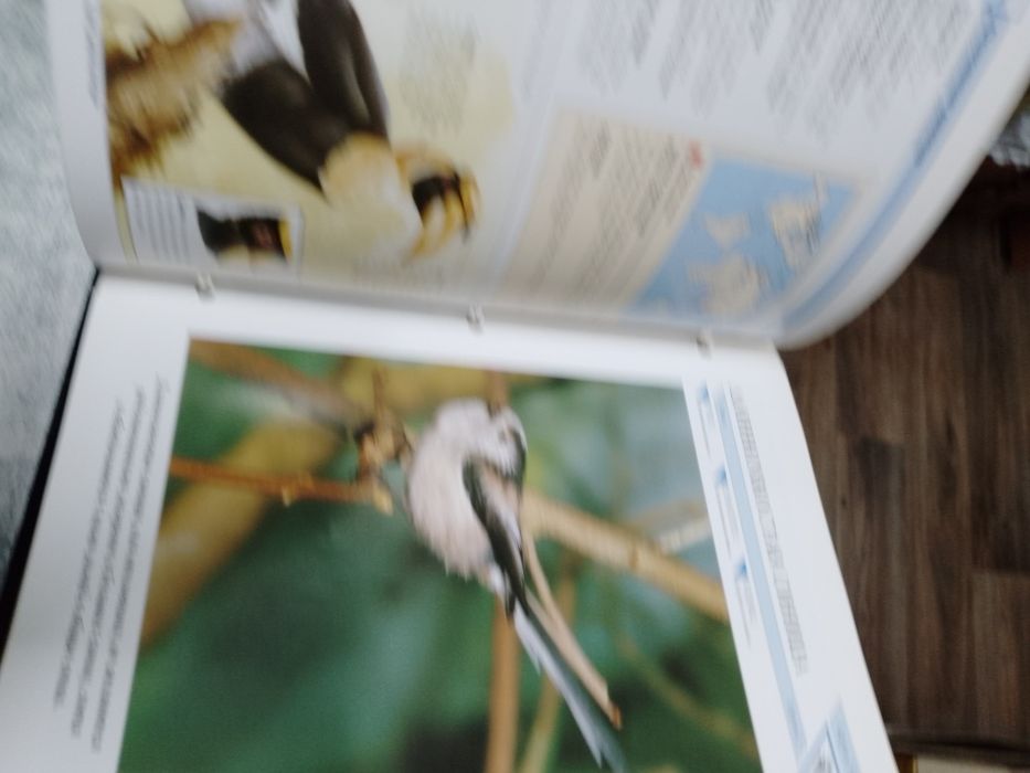 Сад моей мечти  Енциклопедія підписка журналів папки