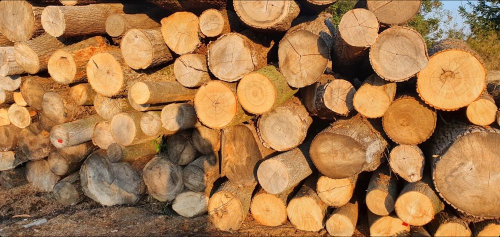 Drewno Opałowe/ Kominkowe PROMOCJA!