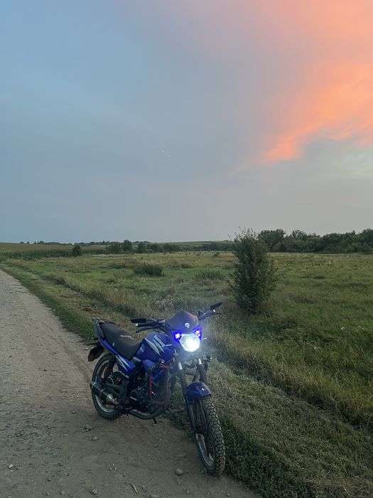 Мустанг регіон 150