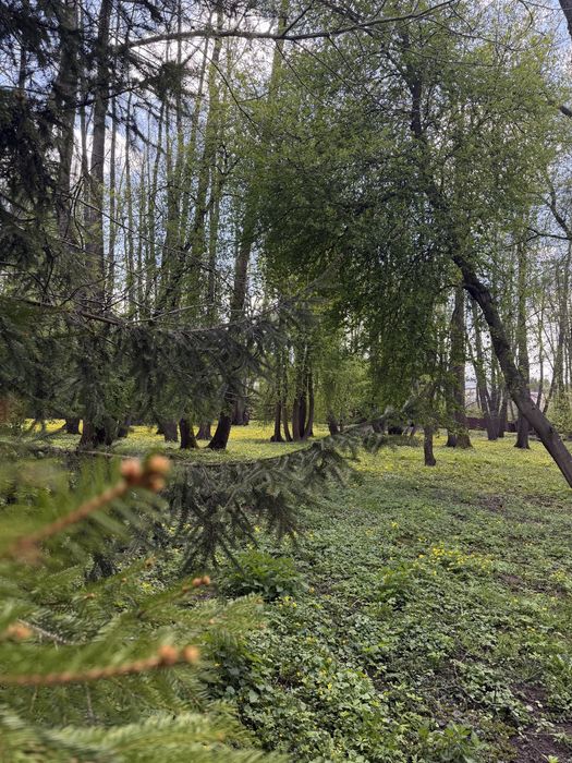1,5  ГА ГОТОВОГО БІЗНЕСУ ТА ВІДПОЧИНКУ СЕРЕД СОСЕН І ОЗЕР
