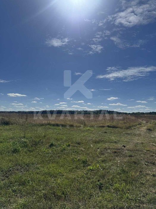 Продається ділянка 15 соток під будівництво у с. Дружня | Світло 15 кВт на ділянці | Асфальтований заїзд | Без комісії