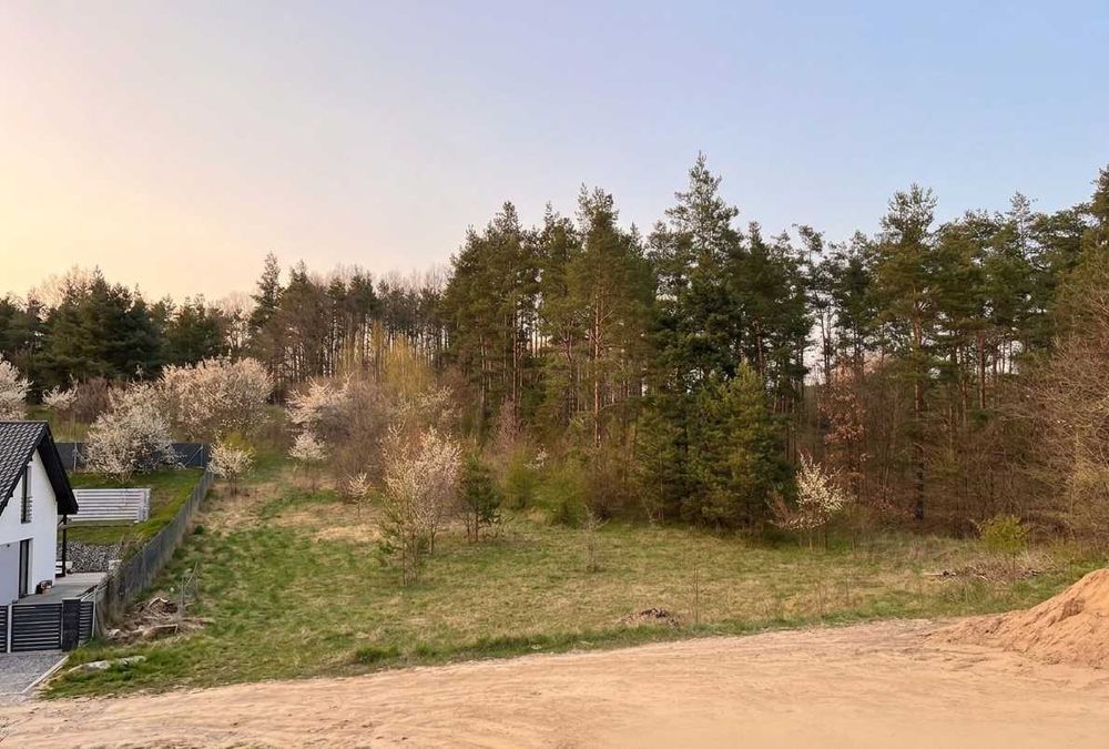 Działka budowlana 57 ar + las | MPZP | Pacółtowo, Nowe Miasto Lubawskie | wzgórze, prywatność