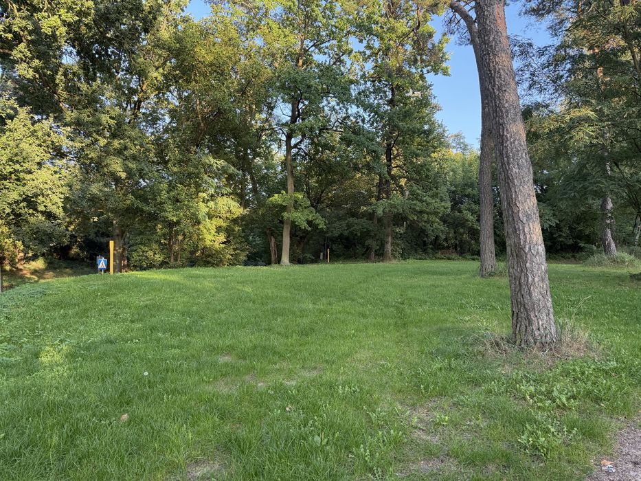 Działki inwestycyjne PRZY PLAŻY W Zalesiu – 5755 m²