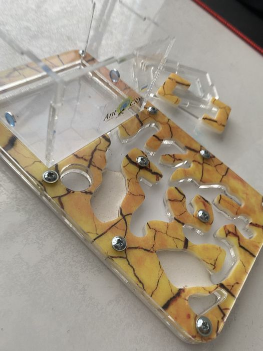 Мурашина ферма смарт сахара antcity